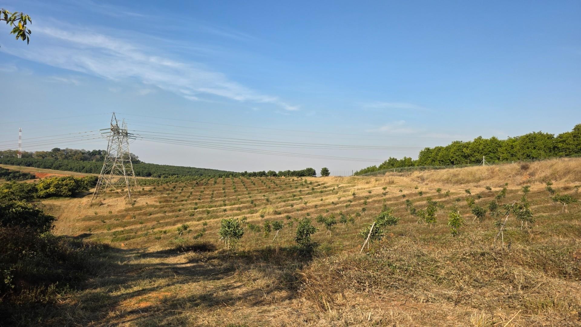 Farm for sale in Hazyview, 802000 m²
