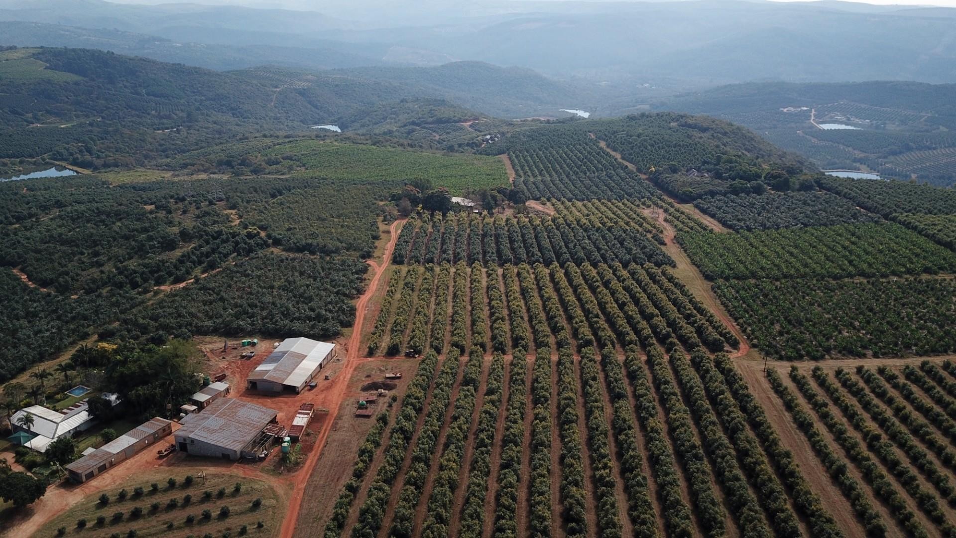 Farm for sale in Hazyview, 802000 m²