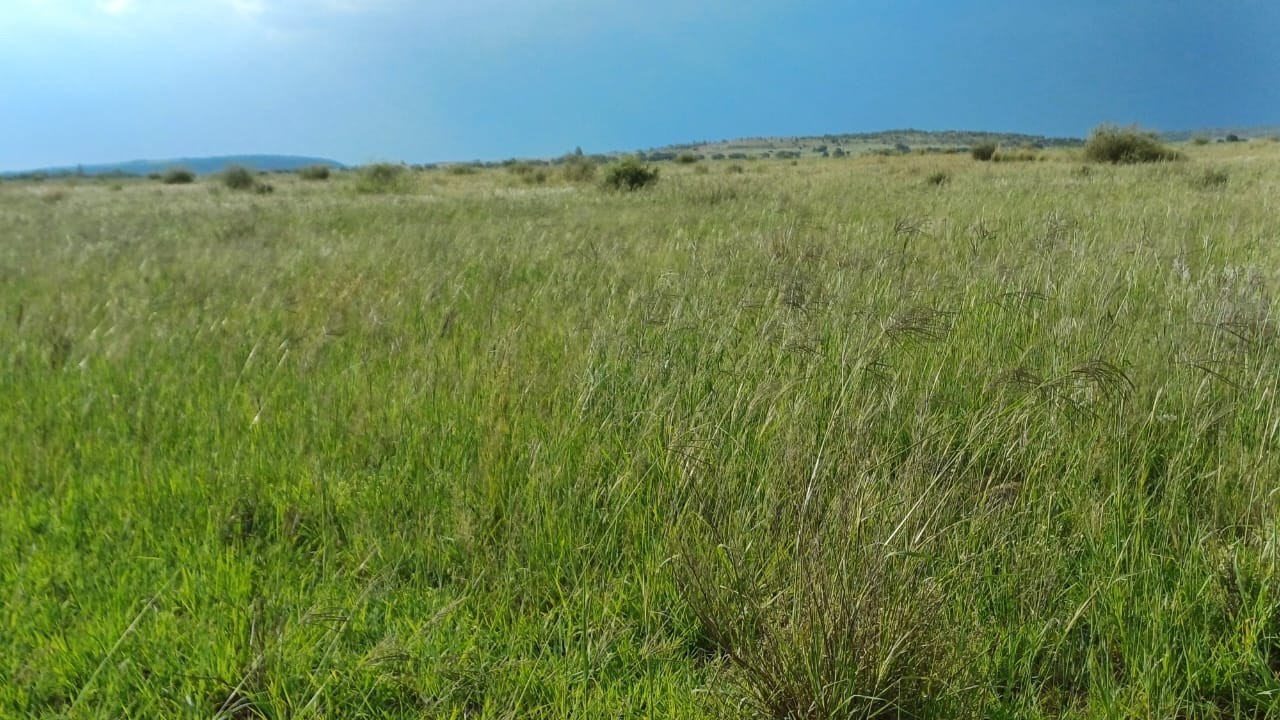Farm for sale in Agricultural Holding 400, Klerksdorp, North West, 2070000 m²