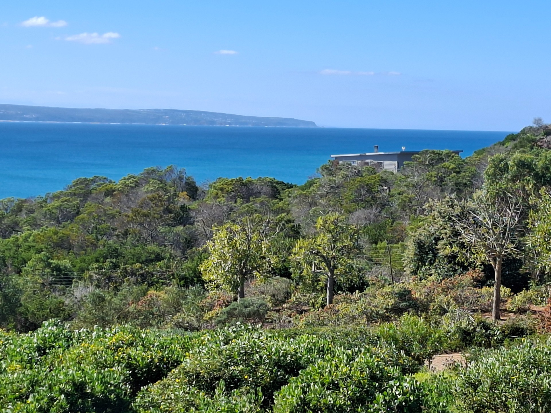 Vacant Land for sale in Vleesbaai, 15 Fontyntjie, Vleesbaai, Western Cape, 2032 m²