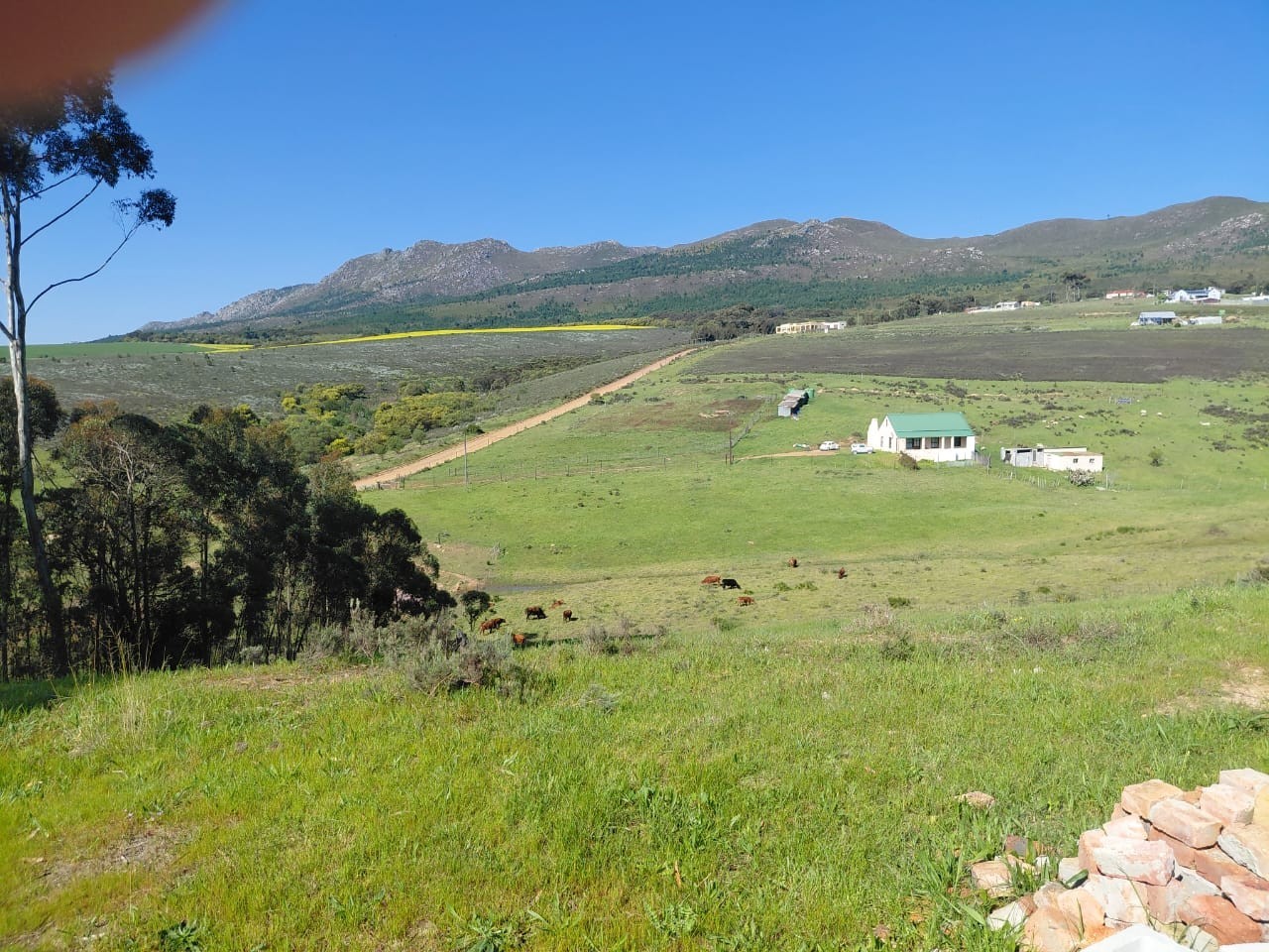 House for sale in Tesselaarsdal, Caledon, 88000 m²