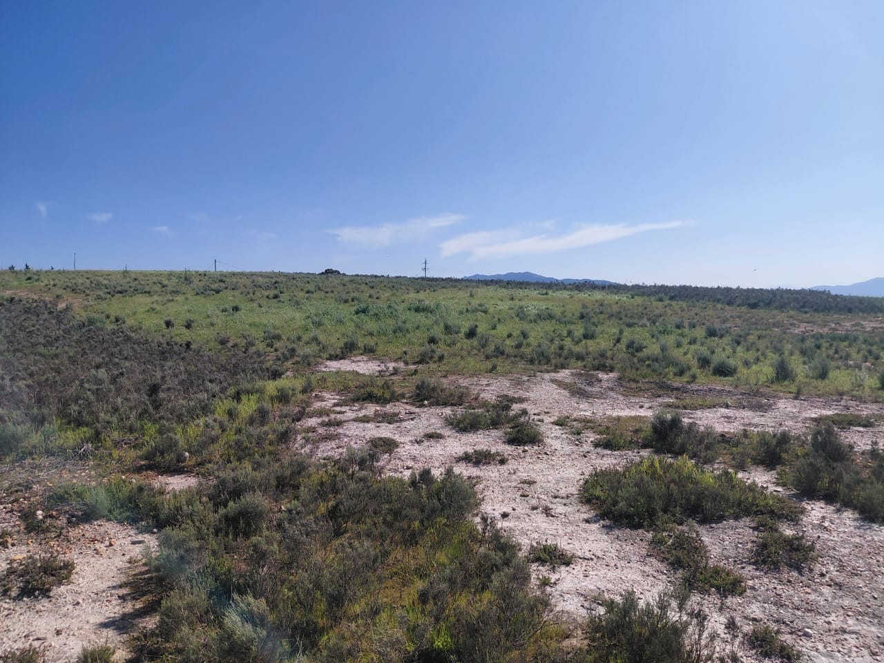 House for sale in Tesselaarsdal, Caledon, 88000 m²