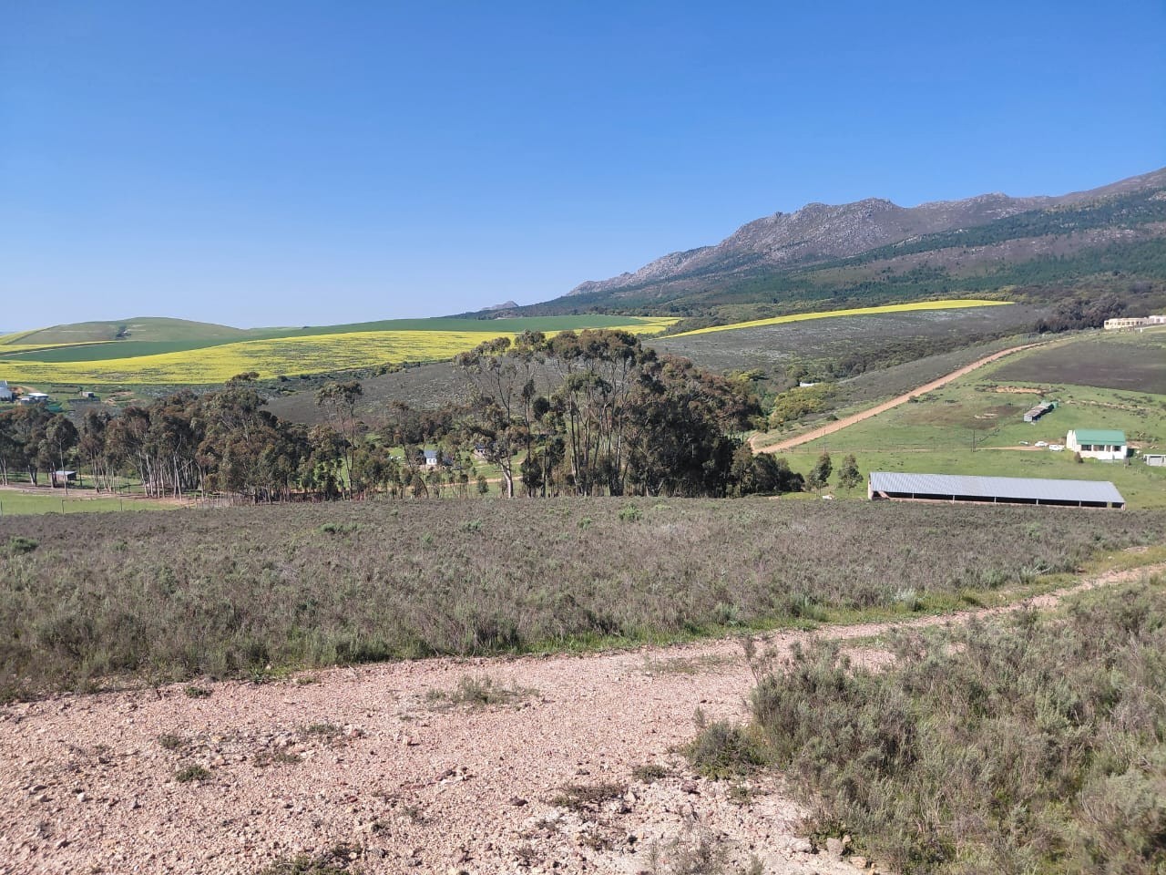 House for sale in Tesselaarsdal, Caledon, 88000 m²