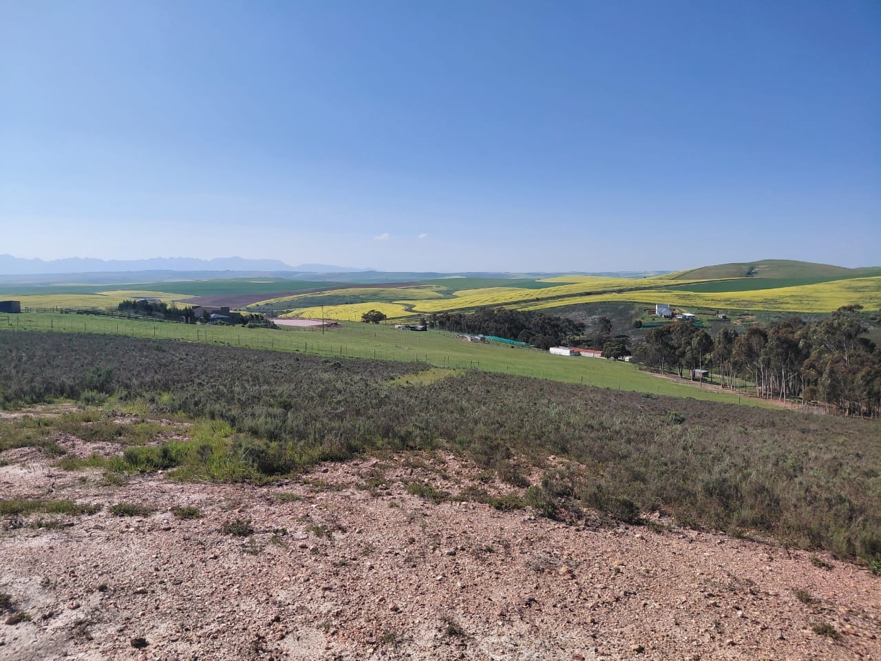 House for sale in Tesselaarsdal, Caledon, 88000 m²