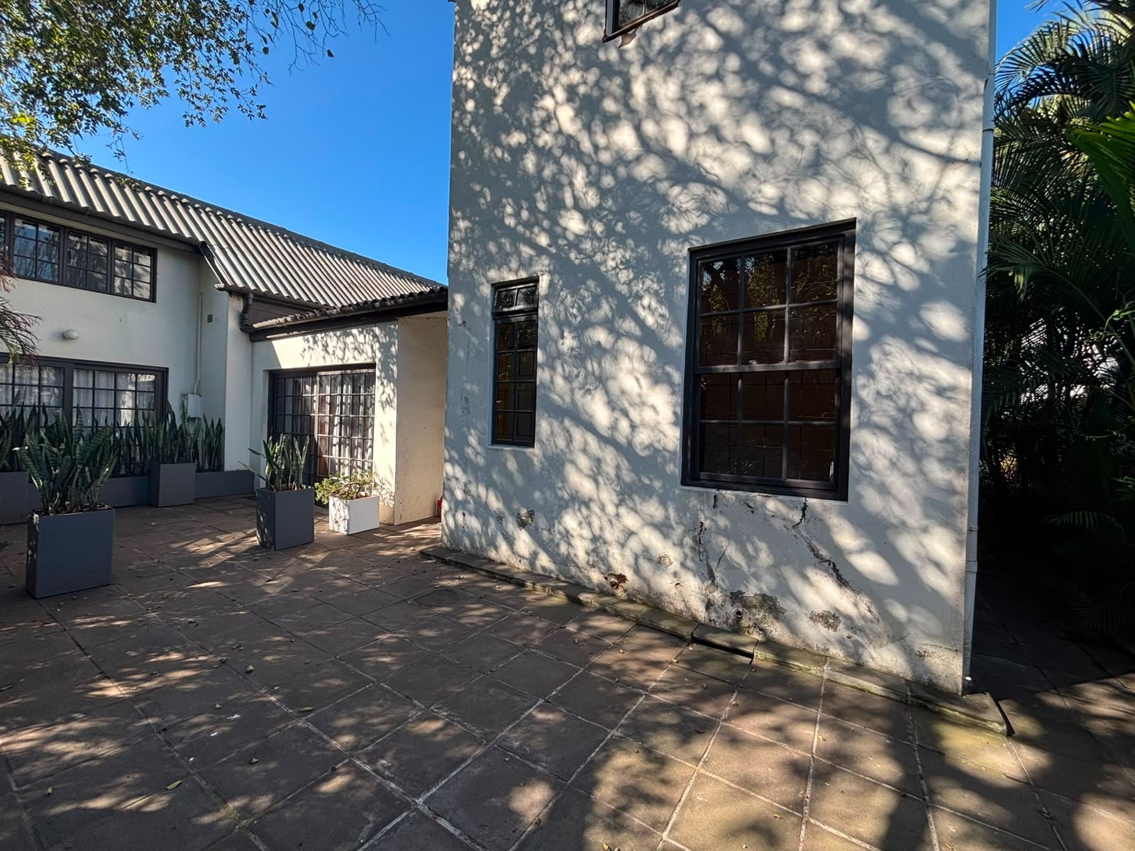 Apartment for rent in Musgrave, Durban, KwaZulu Natal
