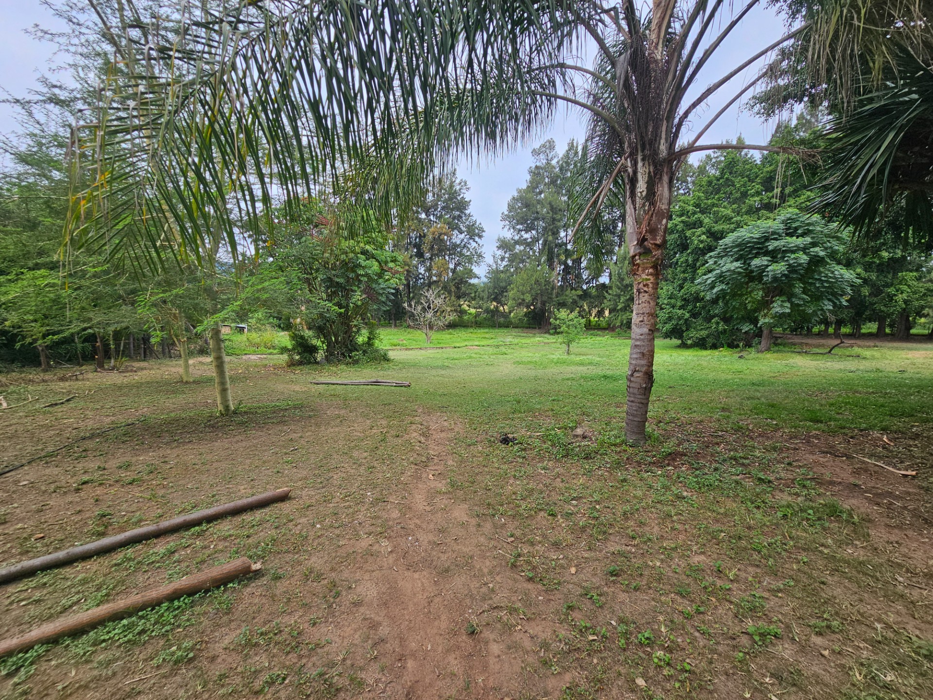 Small Holding for sale in Barberton