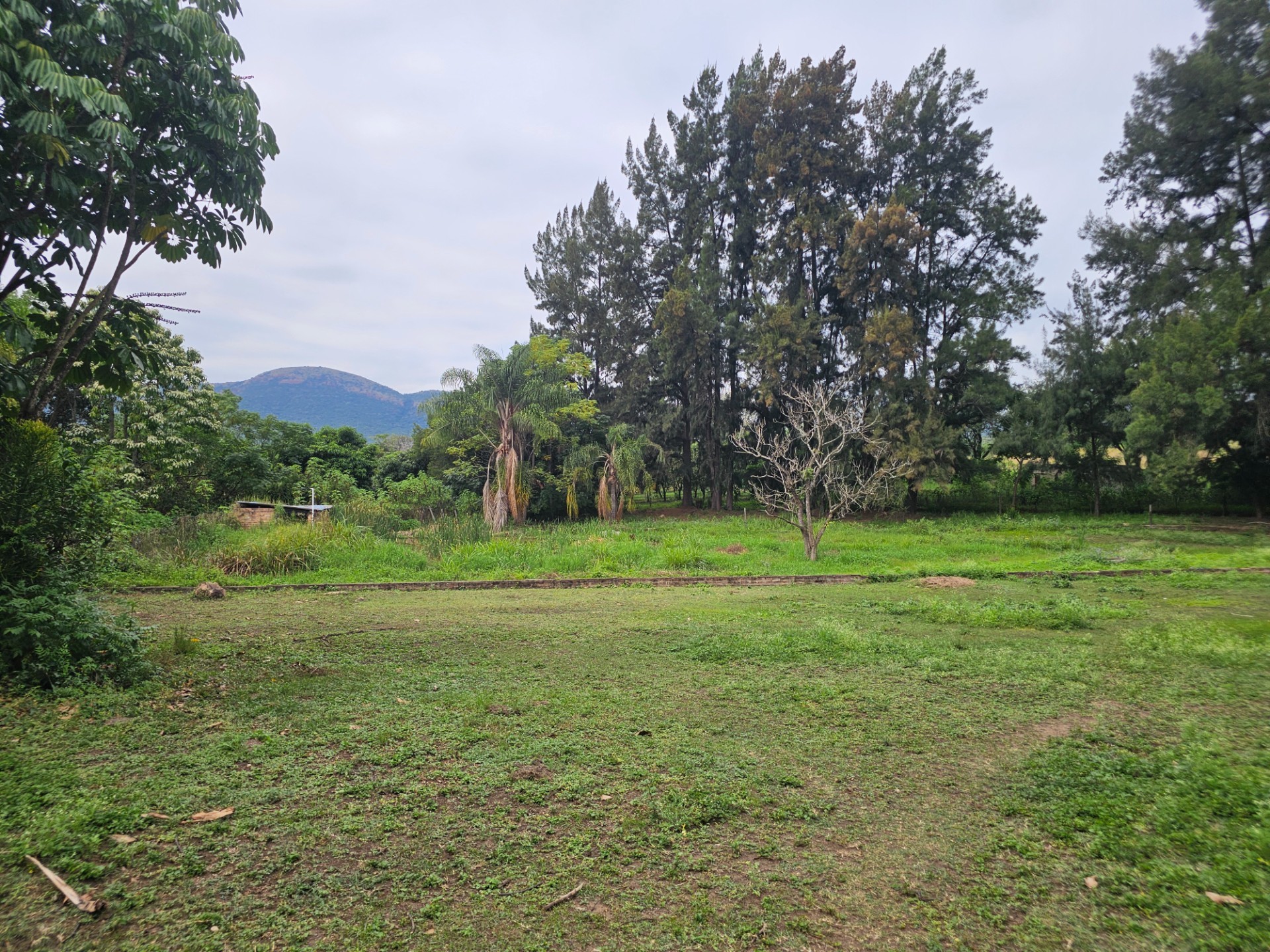 Small Holding for sale in Barberton