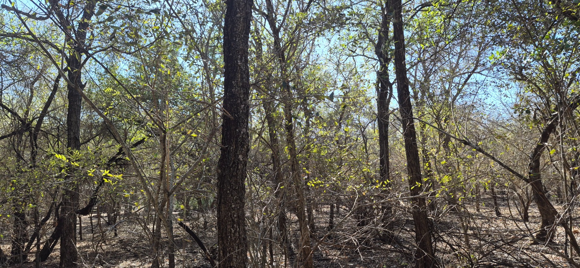 Vacant Land for sale in Marloth Park, 1881 m²