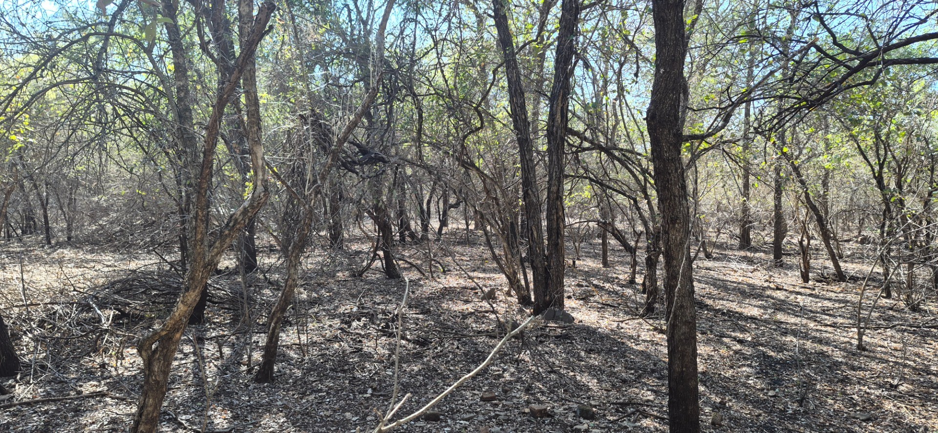 Vacant Land for sale in Marloth Park, 1881 m²
