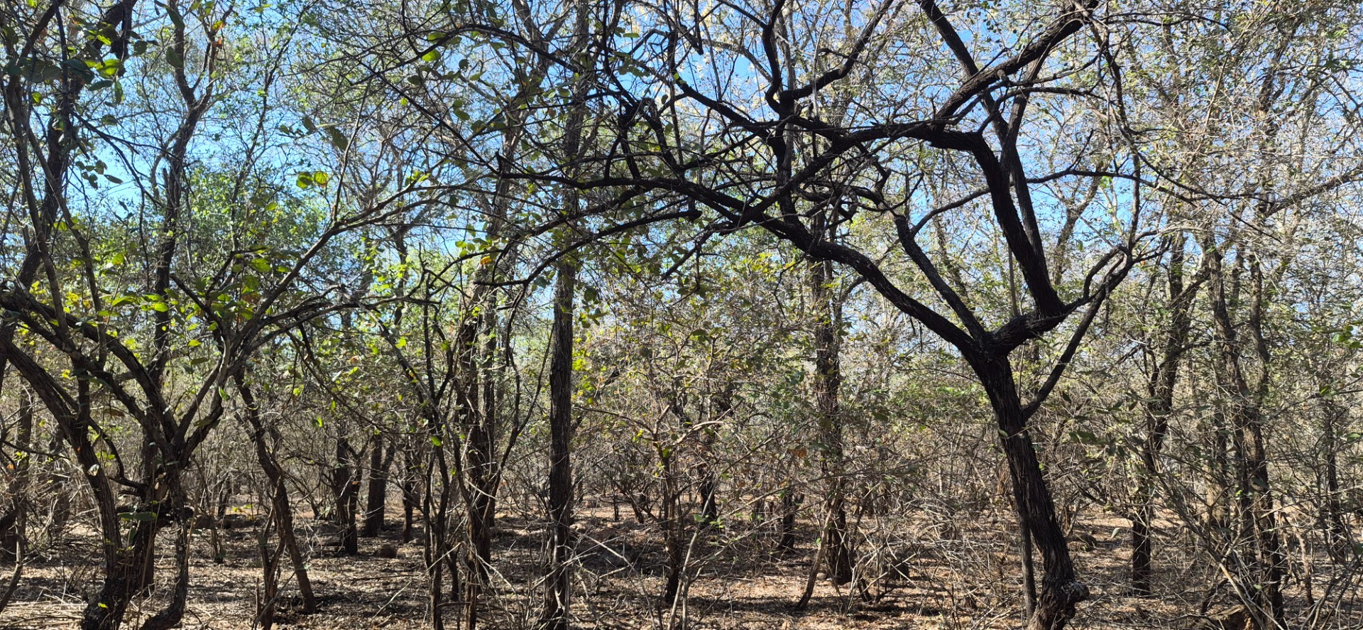 Vacant Land for sale in Marloth Park, 1881 m²