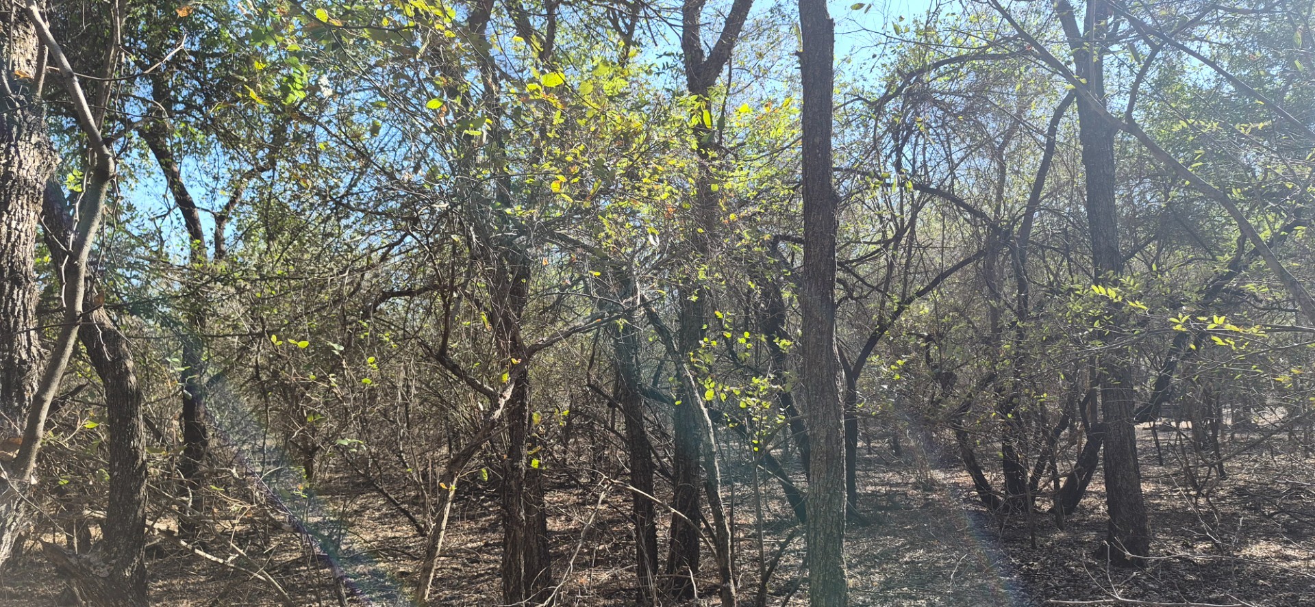 Vacant Land for sale in Marloth Park, 1881 m²