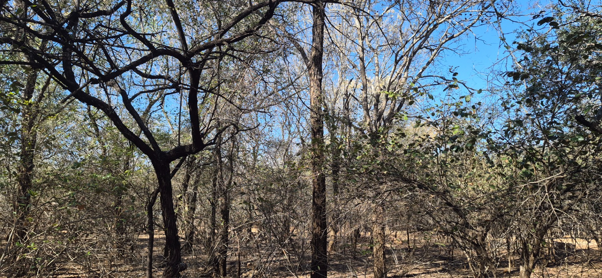 Vacant Land for sale in Marloth Park, 1881 m²