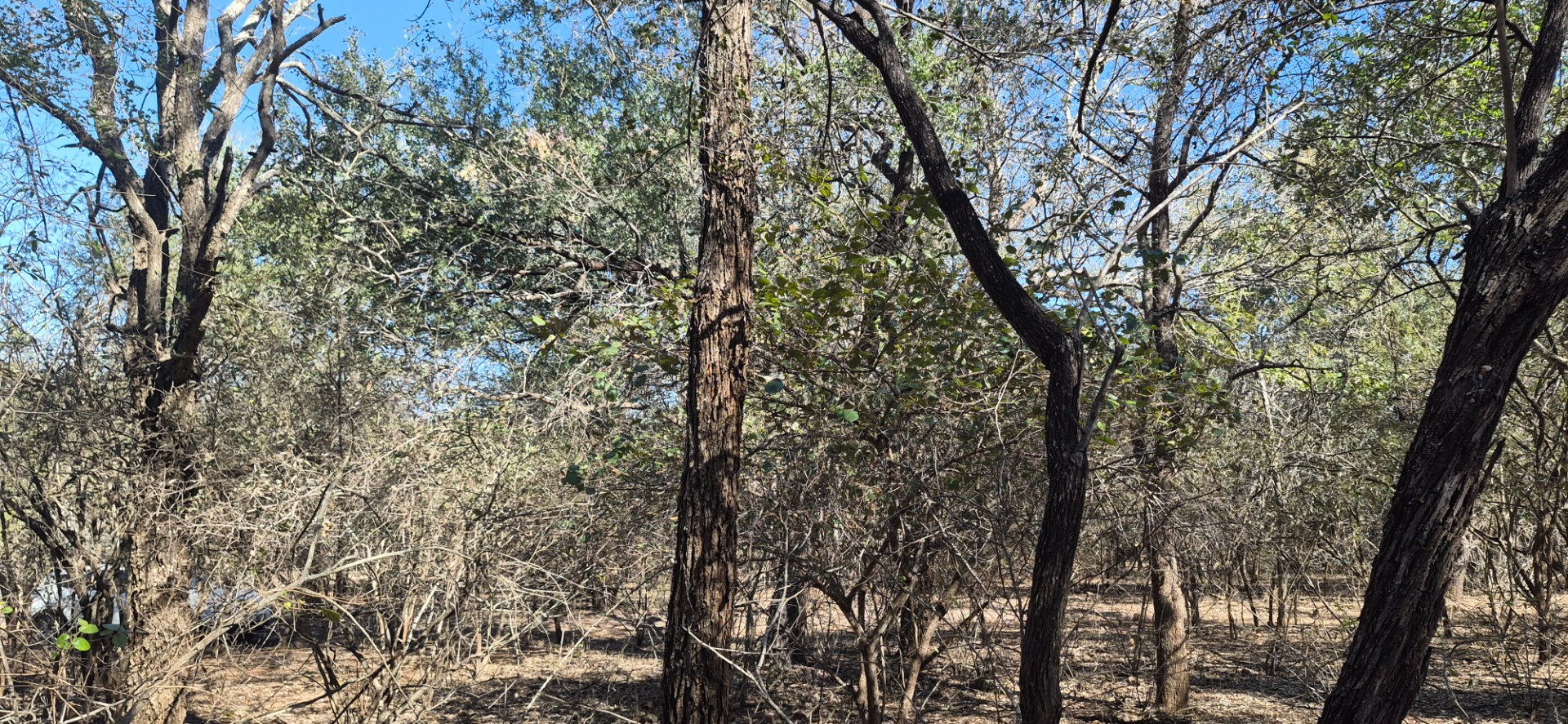 Vacant Land for sale in Marloth Park, 1881 m²