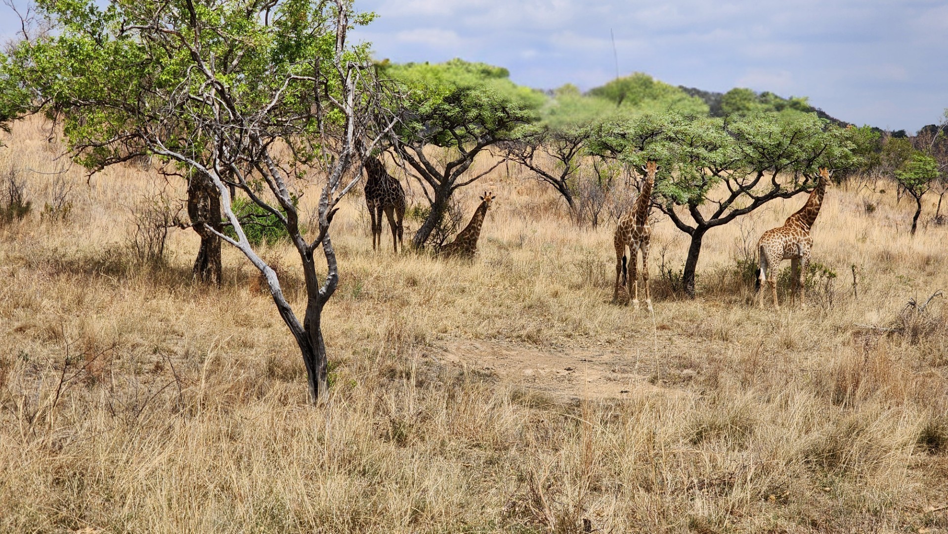 Vacant Land for sale in Verloren Estate, Bela Bela, 2500 m²