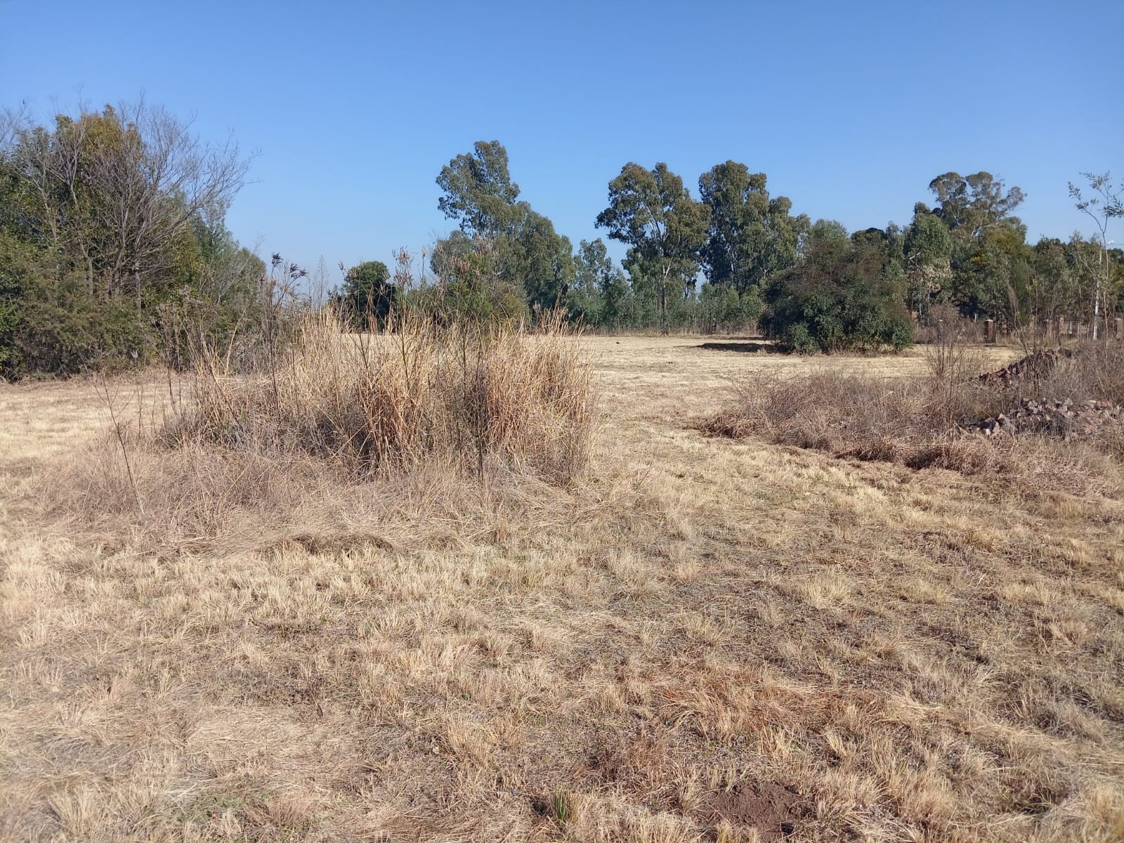 Business for sale in Benoni AH, Benoni, 25000 m²