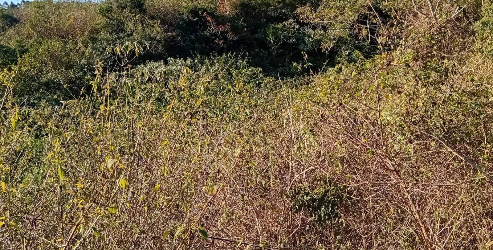 Vacant Land for sale in Umbumbulu, KwaZulu Natal, 110000 m²