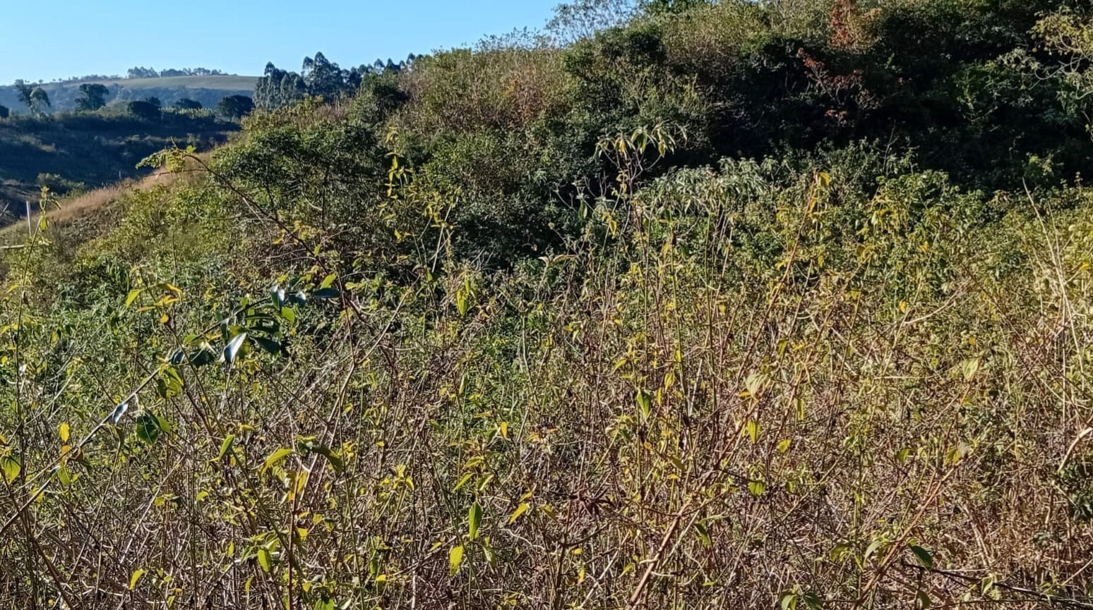 Vacant Land for sale in Umbumbulu, KwaZulu Natal, 110000 m²