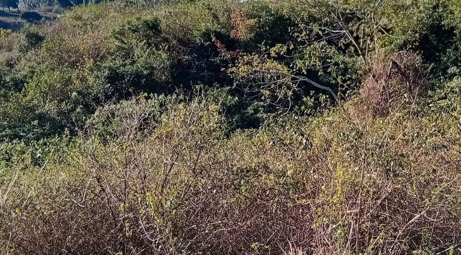Vacant Land for sale in Umbumbulu, KwaZulu Natal, 110000 m²