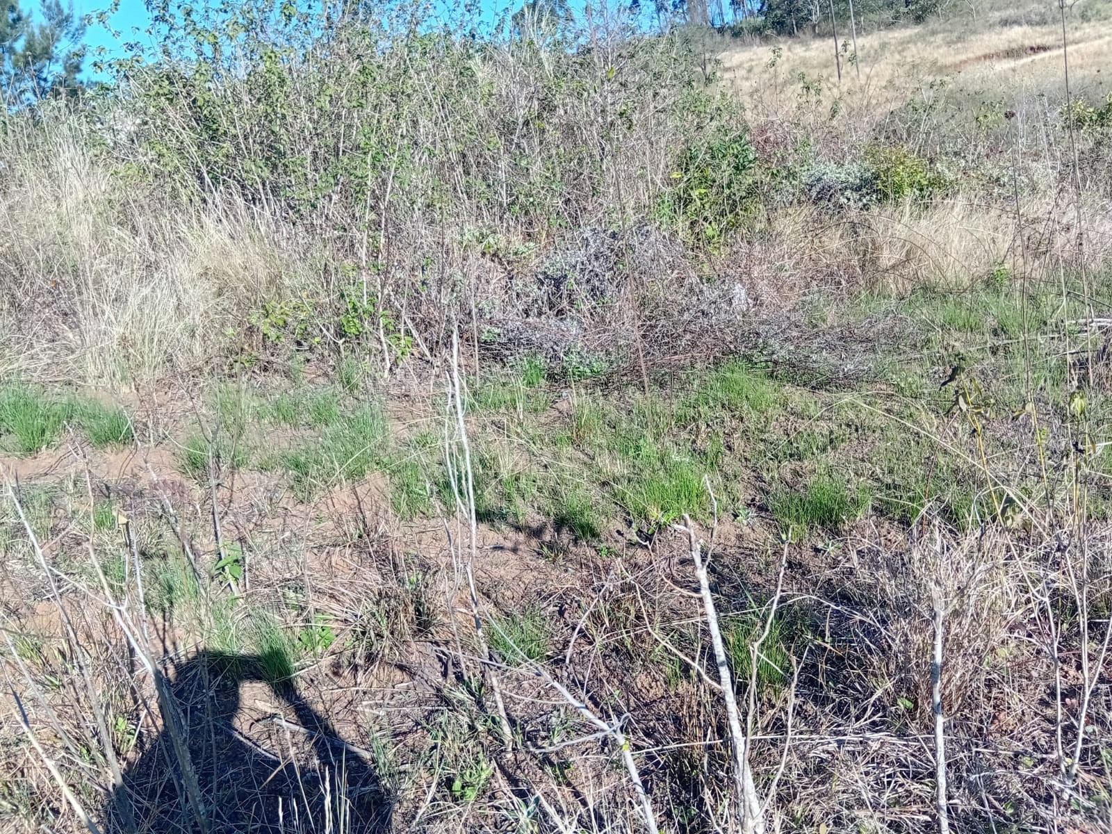 Vacant Land for sale in Umbumbulu, KwaZulu Natal, 110000 m²