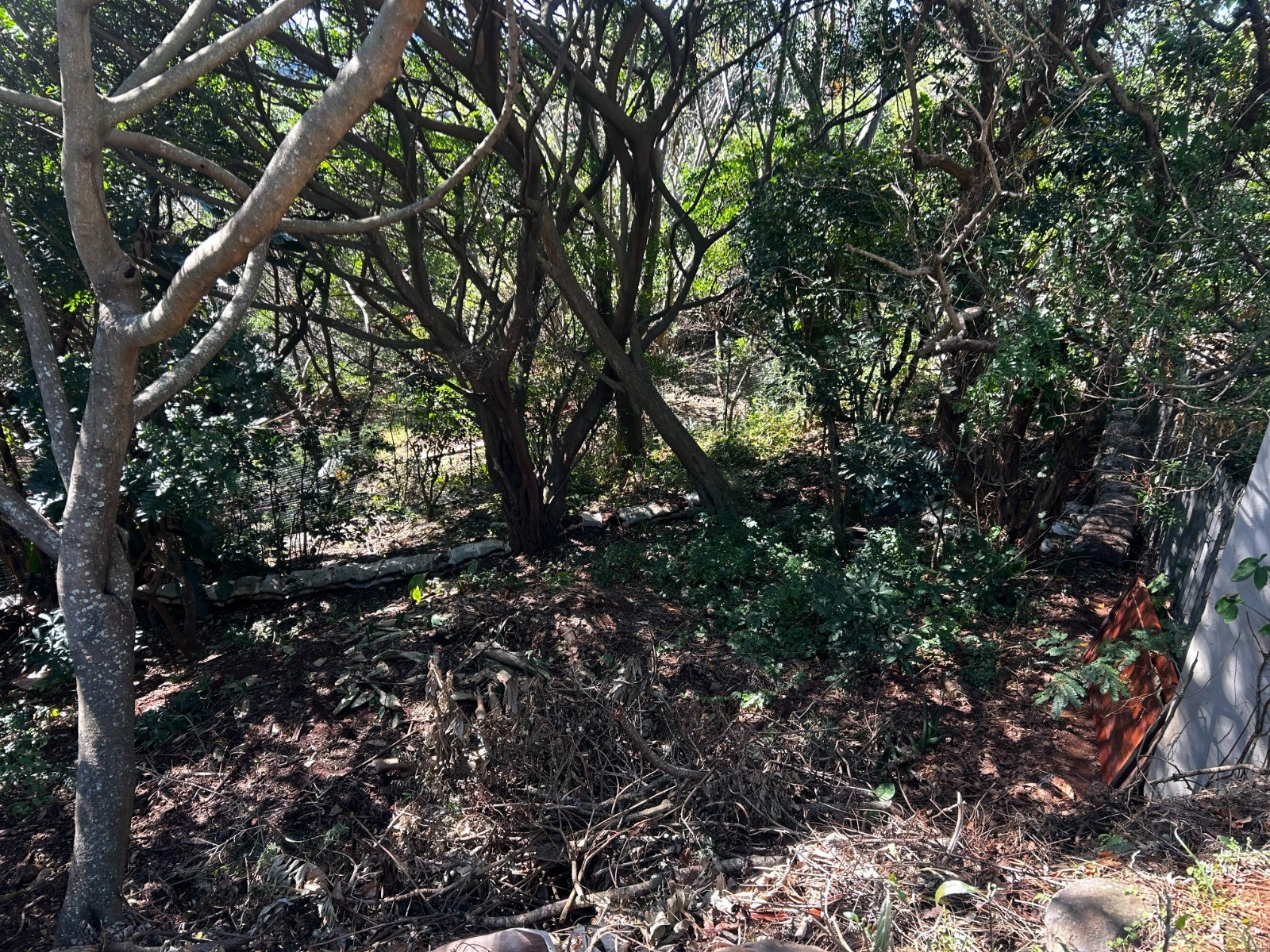 Vacant Land for sale in Sheffield Beach, Ballito, KwaZulu Natal, 26 Summit Road, Sheffield Beach, Sheffield Beach, Ballito, KwaZulu Natal, 1616 m²