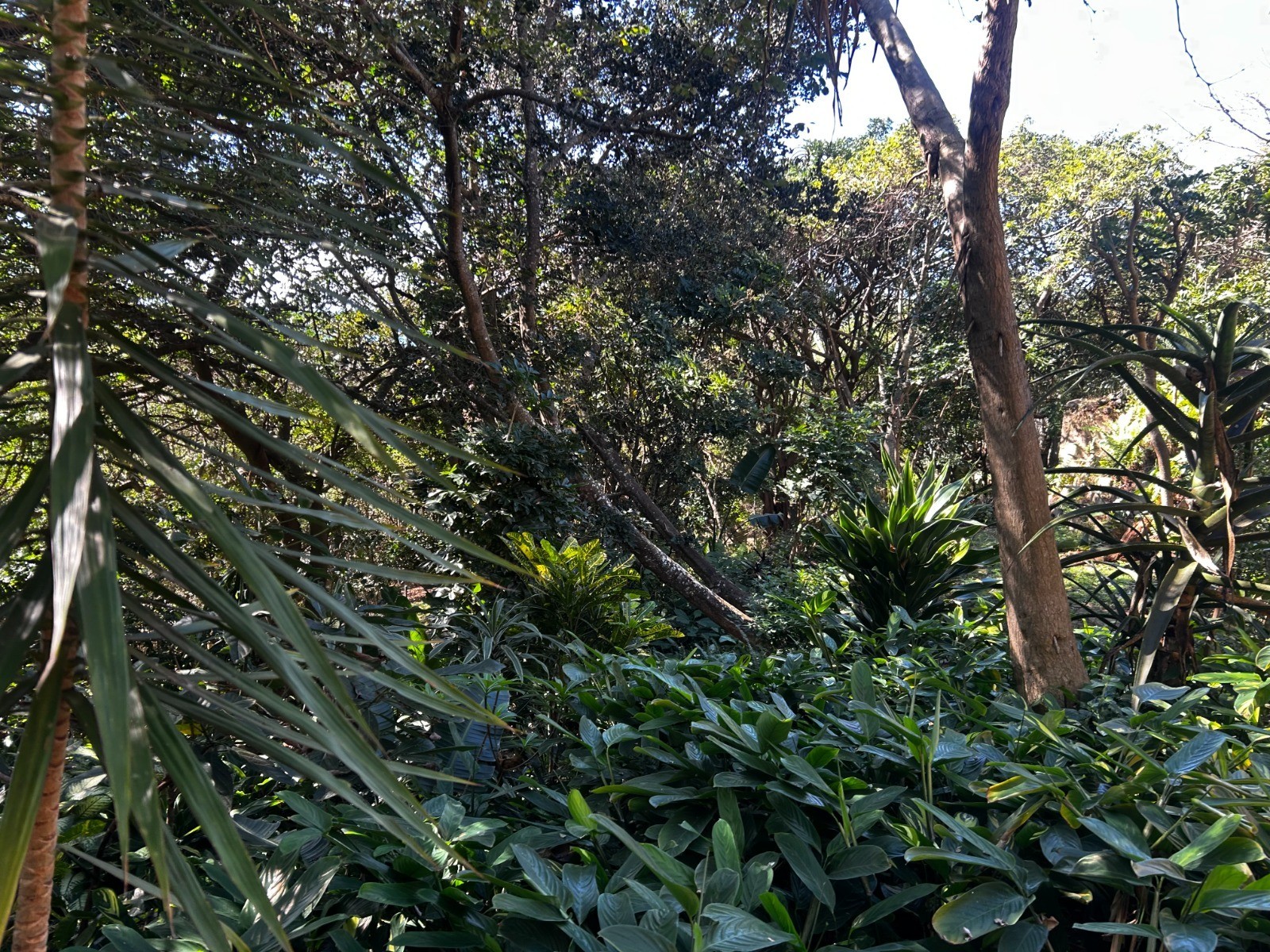 Vacant Land for sale in Sheffield Beach, Ballito, KwaZulu Natal, 26 Summit Road, Sheffield Beach, Sheffield Beach, Ballito, KwaZulu Natal, 1616 m²