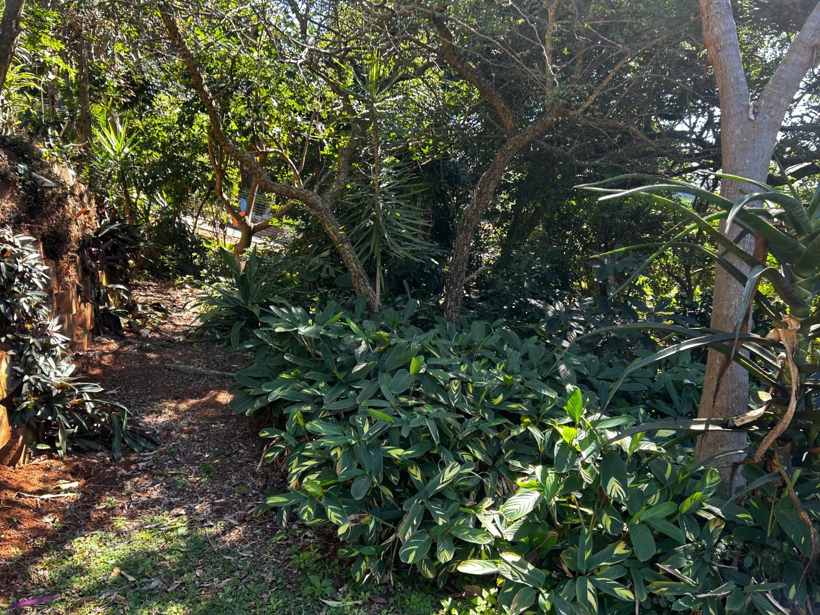 Vacant Land for sale in Sheffield Beach, Ballito, KwaZulu Natal, 26 Summit Road, Sheffield Beach, Sheffield Beach, Ballito, KwaZulu Natal, 1616 m²