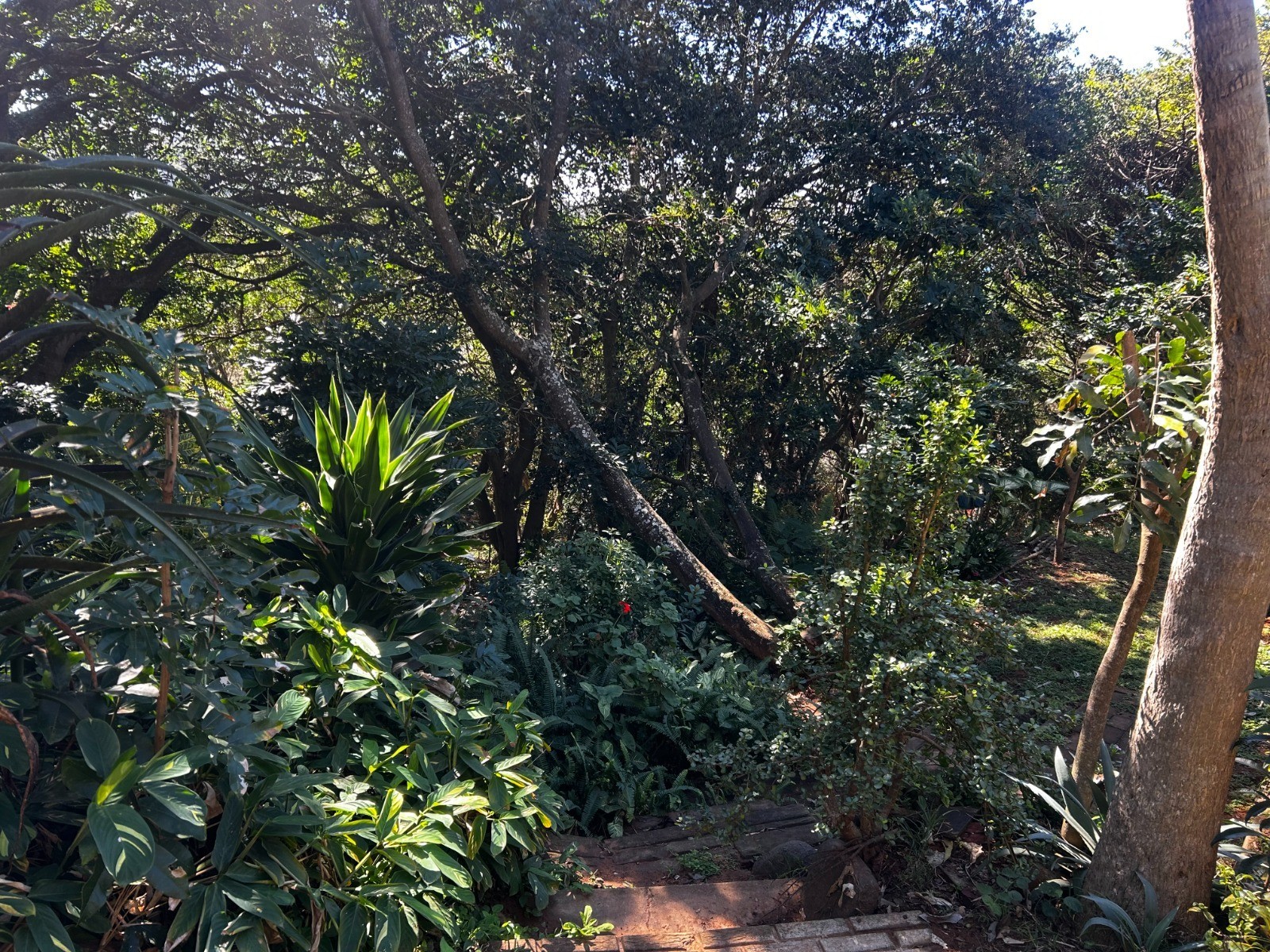 Vacant Land for sale in Sheffield Beach, Ballito, KwaZulu Natal, 26 Summit Road, Sheffield Beach, Sheffield Beach, Ballito, KwaZulu Natal, 1616 m²