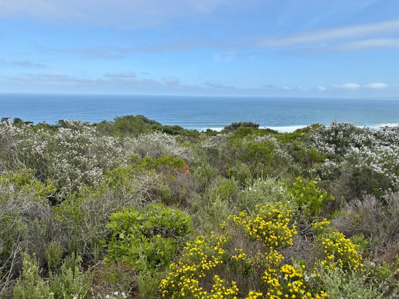 Vacant Land for sale in Moquini Coastal Estate, Mossel Bay, 2835 m²