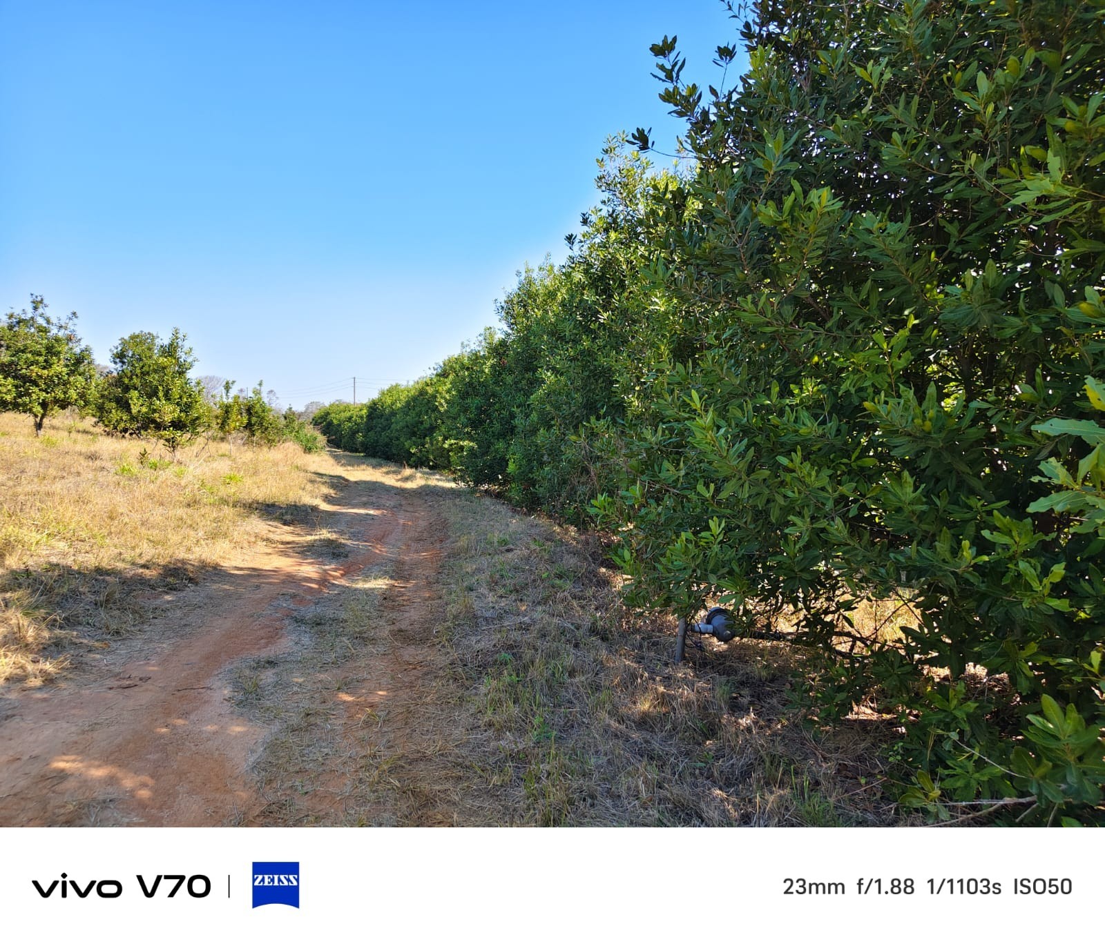 Farm for sale in Alkmaar, Nelspruit, 250 m²