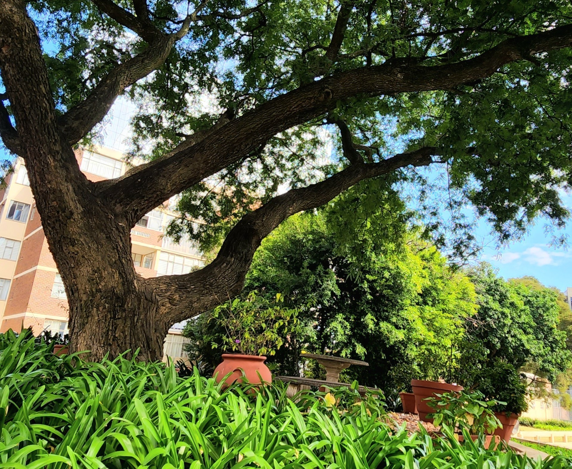 Apartment for rent in Sandhurst, Sandton, 90 m²