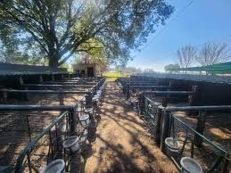 Farm for sale in Rietkol AH, Delmas Rural, Delmas, 86000 m²