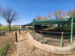 Farm for sale in Rietkol AH, Delmas Rural, Delmas, 86000 m²