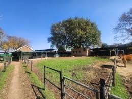 Farm for sale in Rietkol AH, Delmas Rural, Delmas, 86000 m²