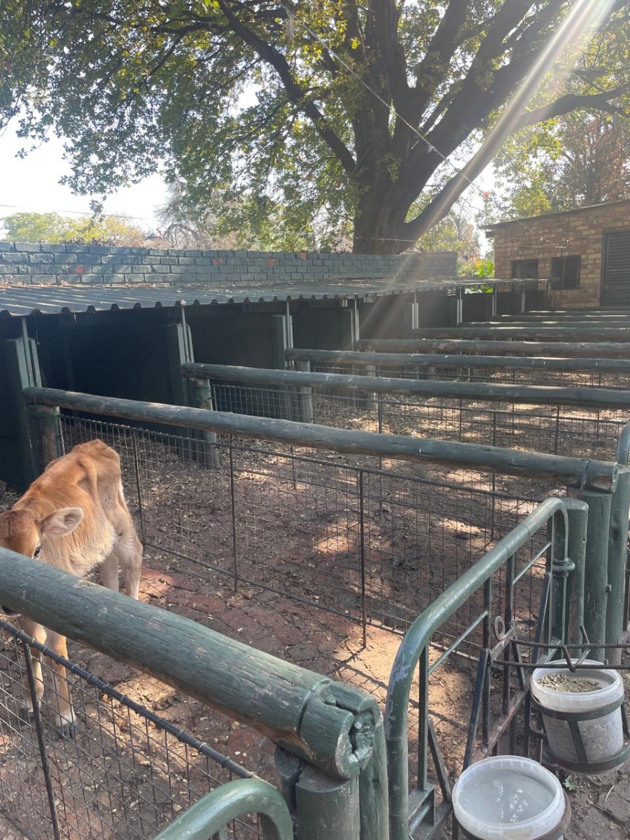 Farm for sale in Rietkol AH, Delmas Rural, Delmas, 86000 m²