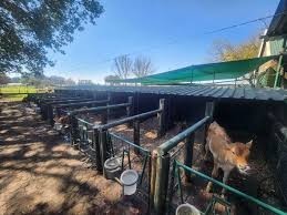 Farm for sale in Rietkol AH, Delmas Rural, Delmas, 86000 m²