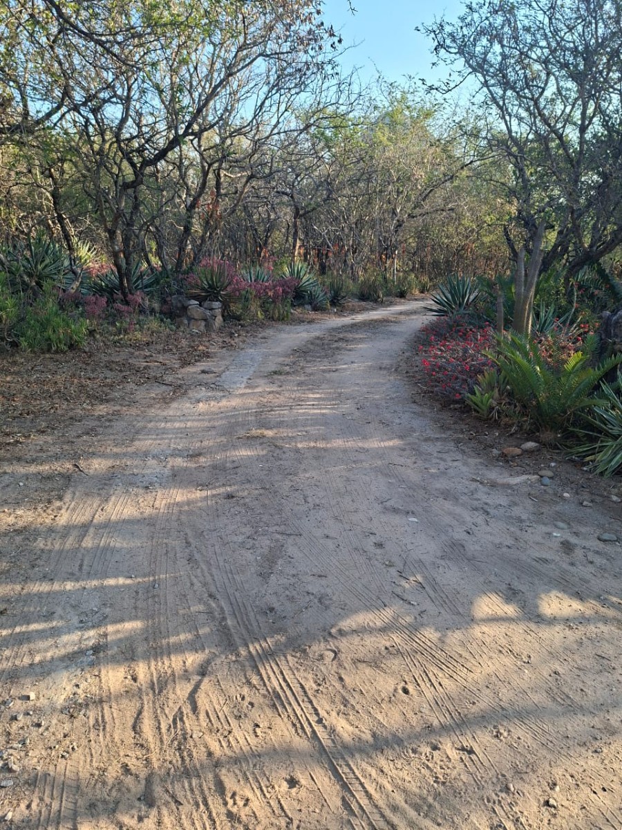 House To Rent in Hoedspruit