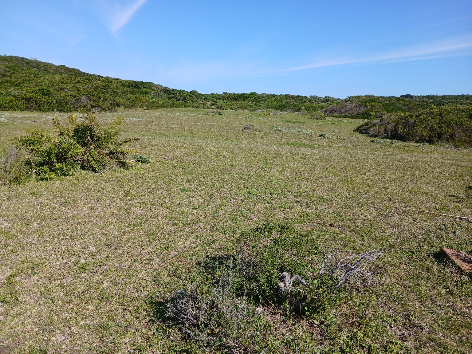 Small Holding For Sale in Port Alfred Central, Port Alfred 4