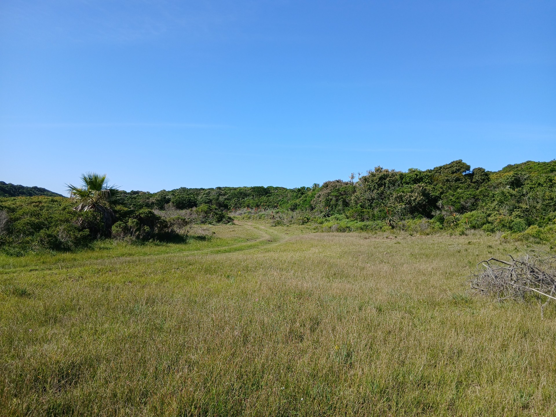 Small Holding For Sale in Port Alfred Central, Port Alfred 5