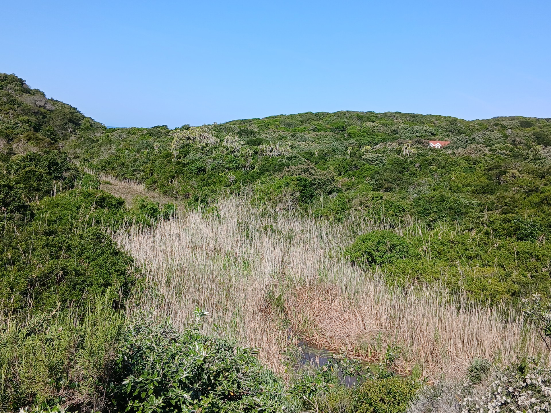 Small Holding For Sale in Port Alfred Central, Port Alfred