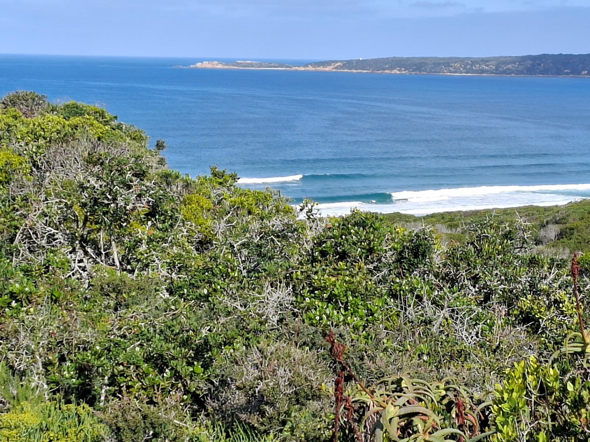 Vacant Land for sale in Springerbaai Eco Estate, Mossel Bay, 2779 m²