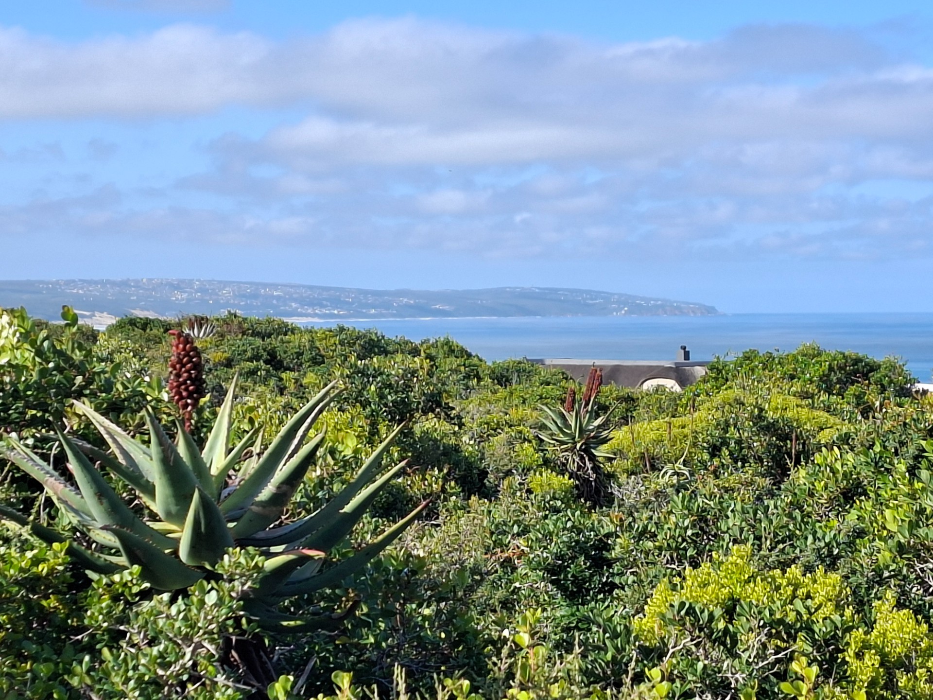Vacant Land for sale in Springerbaai Eco Estate, Mossel Bay, 2779 m²