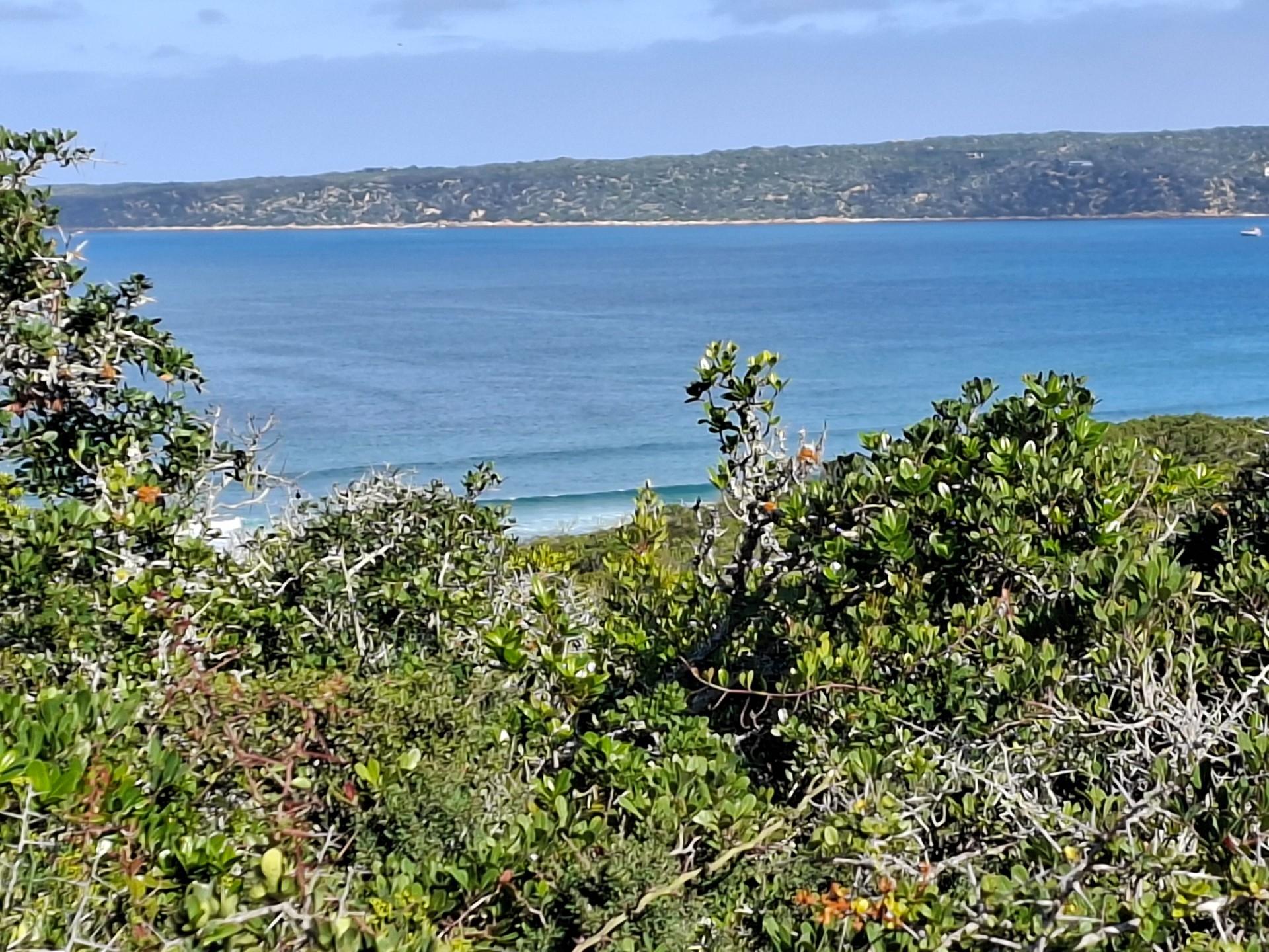 Vacant Land for sale in Springerbaai Eco Estate, Mossel Bay, 2779 m²