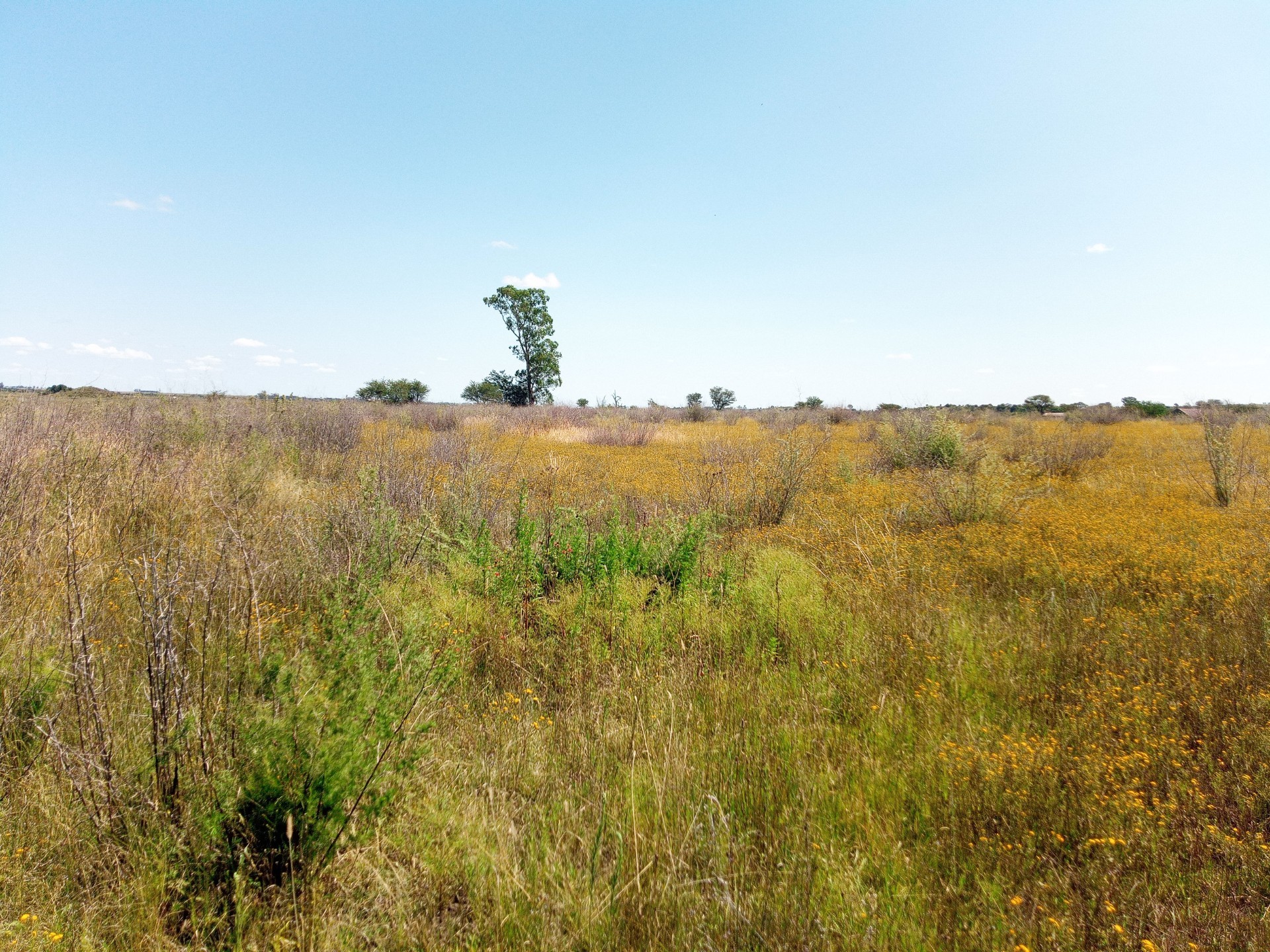Vacant Land For Sale in Koppies 4