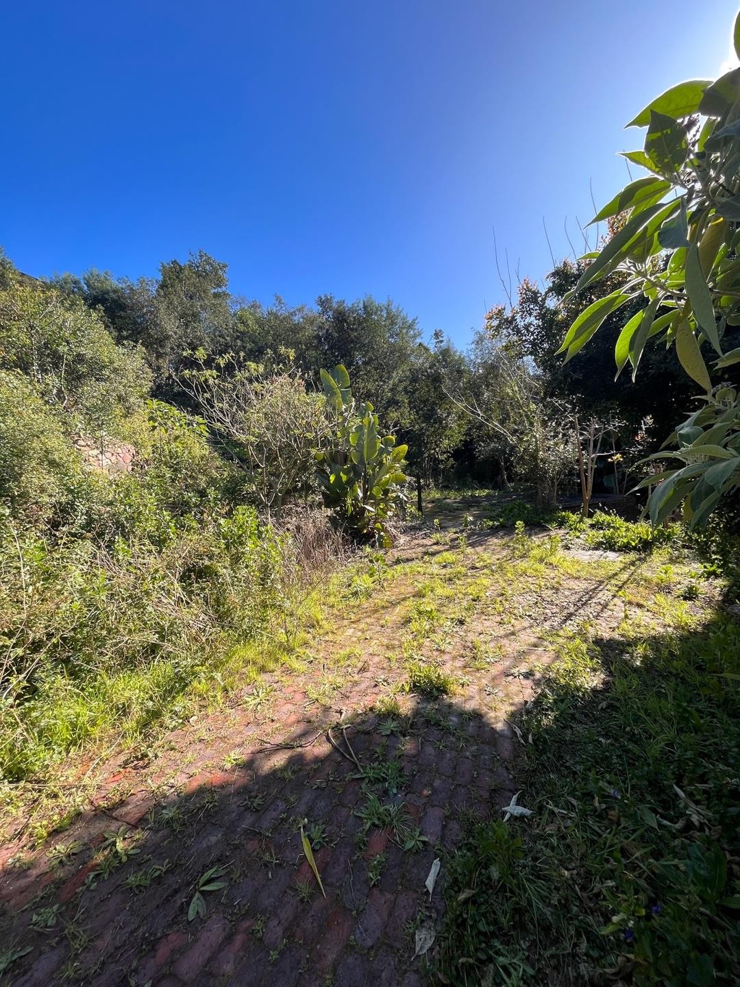 Vacant Land for sale in Kanonkop, Knysna, 527 m²
