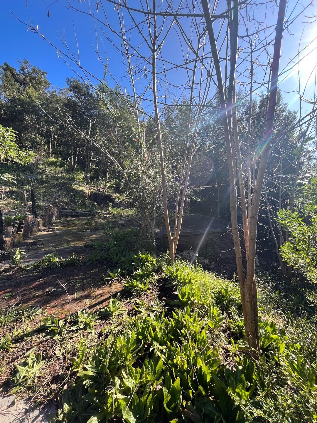 Vacant Land for sale in Kanonkop, Knysna, 527 m²