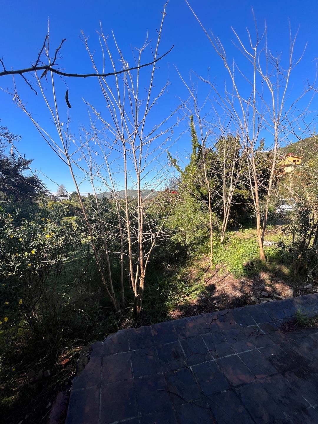 Vacant Land for sale in Kanonkop, Knysna, 527 m²