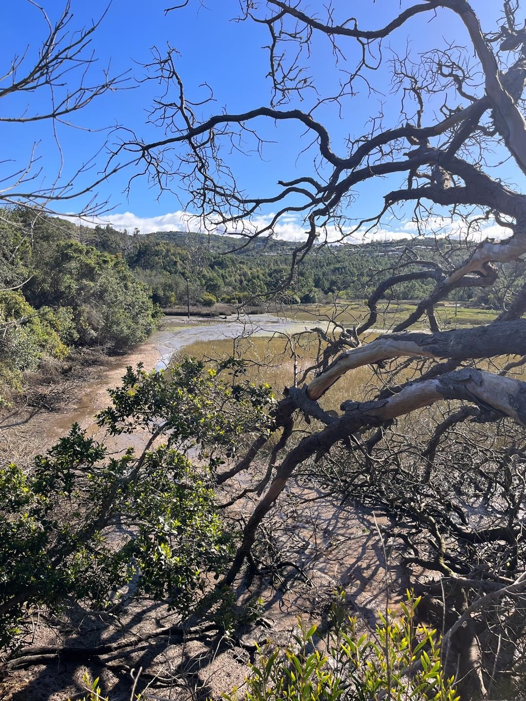 Vacant Land for sale in Kanonkop, Knysna, 571 m²