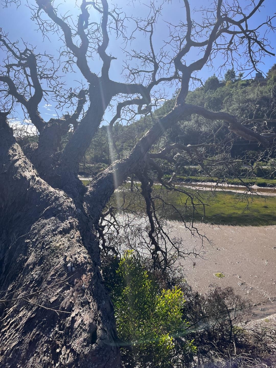 Vacant Land for sale in Kanonkop, Knysna, 571 m²