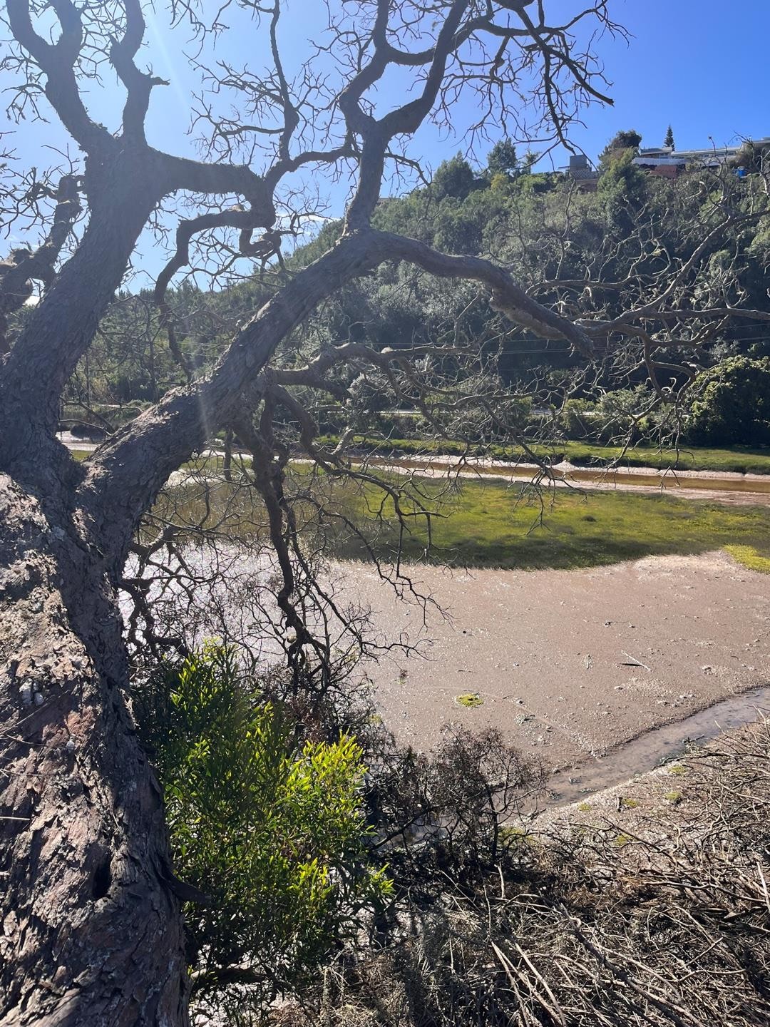 Vacant Land for sale in Kanonkop, Knysna, 571 m²