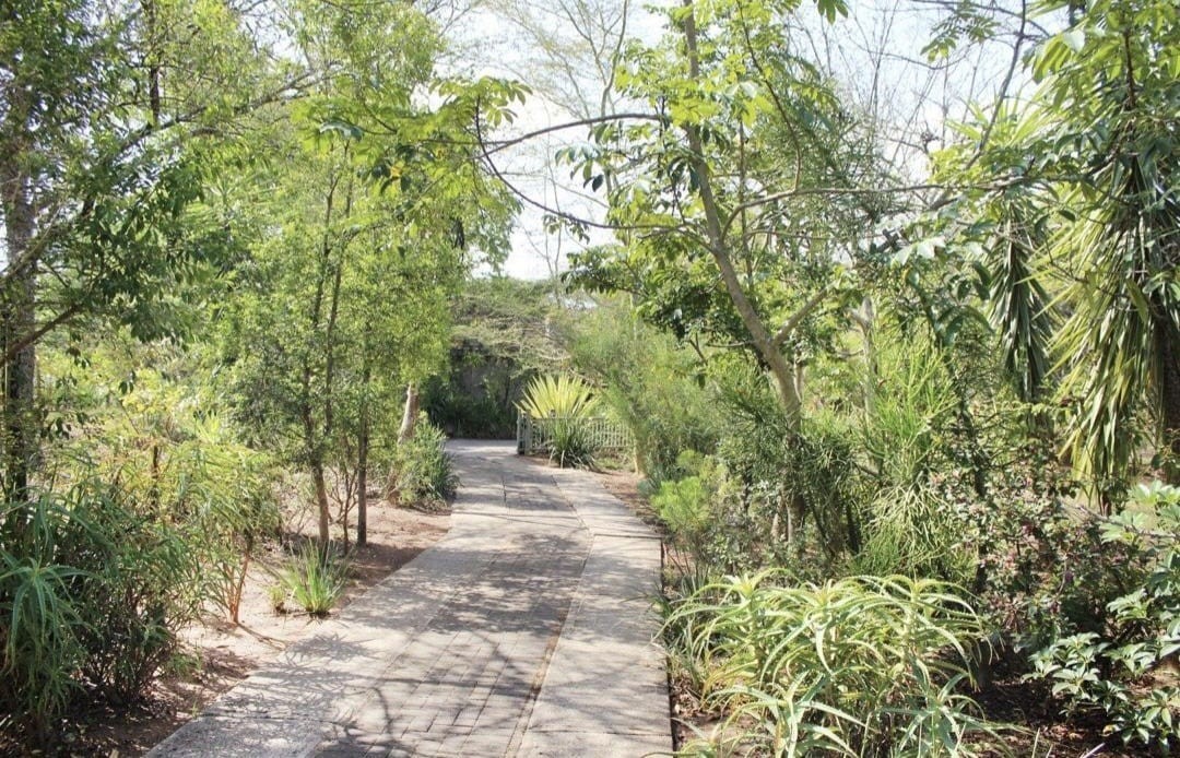 House for rent in The Edge, Nelspruit, 342 m²